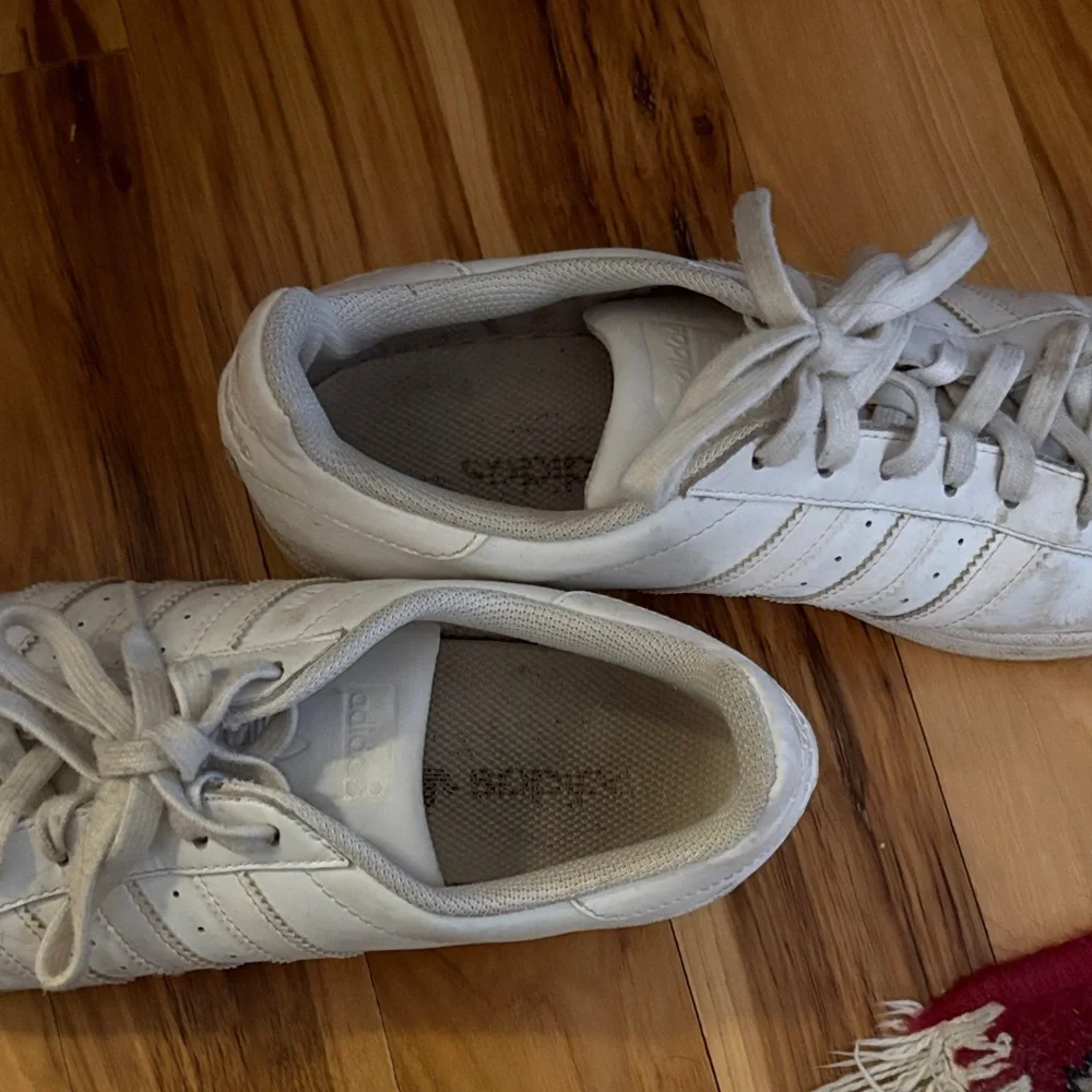Adidas White Shell Toe Sneakers